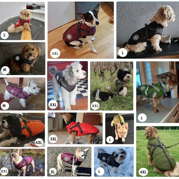 Blue Dog Jacket with Harness Waterproof And Warm - Picture 5 of 16